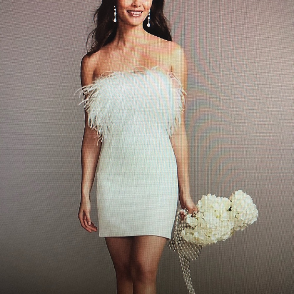 Never worn David’s bridal dress